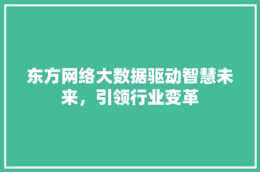 东方网络大数据驱动智慧未来，引领行业变革