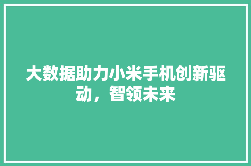 大数据助力小米手机创新驱动，智领未来  第1张