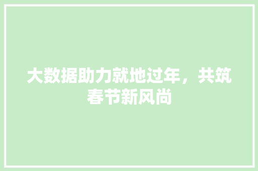 大数据助力就地过年，共筑春节新风尚