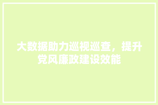 大数据助力巡视巡查，提升党风廉政建设效能