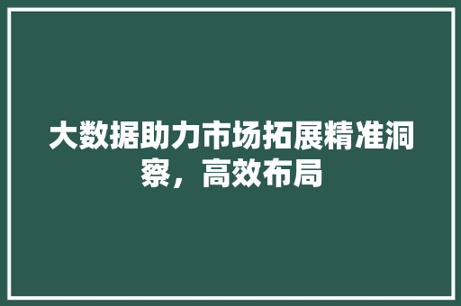 大数据助力市场拓展精准洞察，高效布局