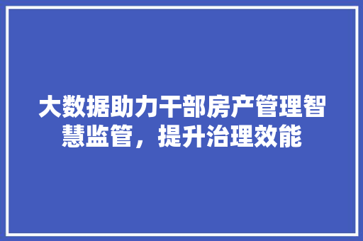 大数据助力干部房产管理智慧监管，提升治理效能  第1张