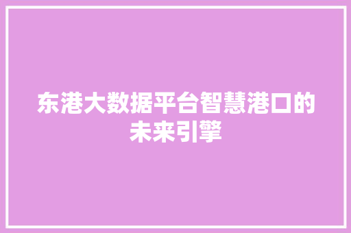 东港大数据平台智慧港口的未来引擎