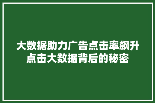 大数据助力广告点击率飙升点击大数据背后的秘密