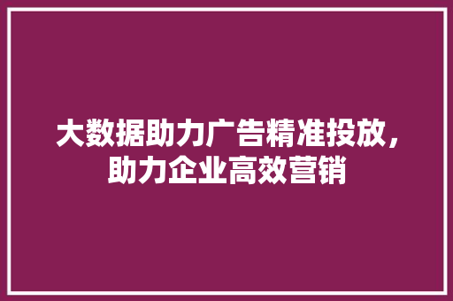 大数据助力广告精准投放，助力企业高效营销  第1张