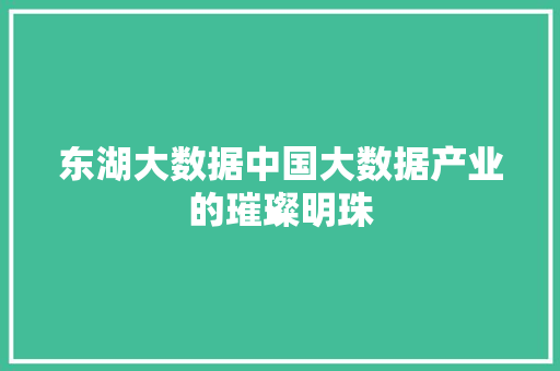 东湖大数据中国大数据产业的璀璨明珠