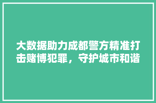 大数据助力成都警方精准打击赌博犯罪，守护城市和谐安宁