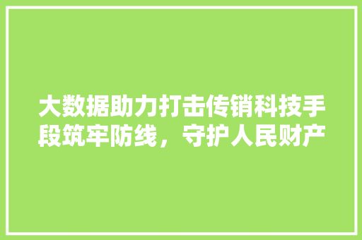 大数据助力打击传销科技手段筑牢防线，守护人民财产安全