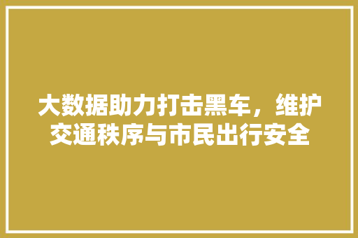 大数据助力打击黑车，维护交通秩序与市民出行安全