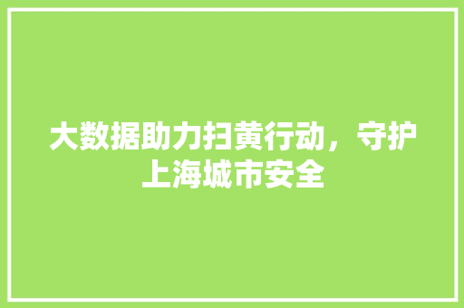 大数据助力扫黄行动，守护上海城市安全