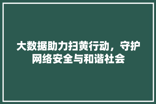 大数据助力扫黄行动，守护网络安全与和谐社会