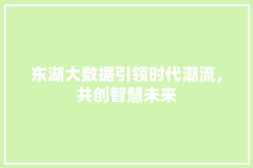 东湖大数据引领时代潮流，共创智慧未来