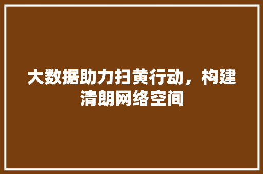 大数据助力扫黄行动，构建清朗网络空间