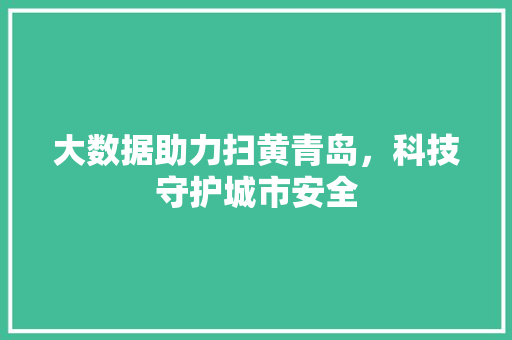 大数据助力扫黄青岛，科技守护城市安全