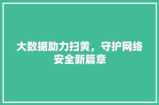 大数据助力扫黄，守护网络安全新篇章  第1张