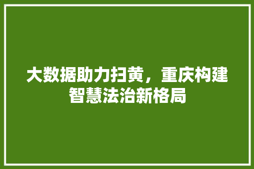 大数据助力扫黄，重庆构建智慧法治新格局  第1张