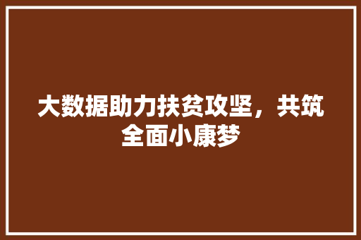 大数据助力扶贫攻坚，共筑全面小康梦  第1张