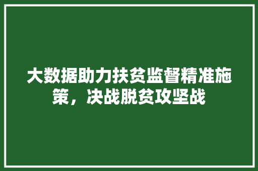 大数据助力扶贫监督精准施策，决战脱贫攻坚战