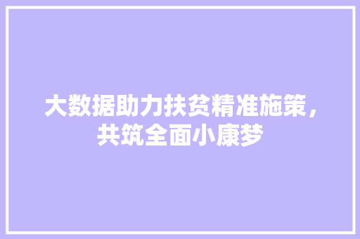 大数据助力扶贫精准施策，共筑全面小康梦  第1张