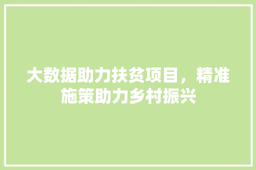 大数据助力扶贫项目，精准施策助力乡村振兴