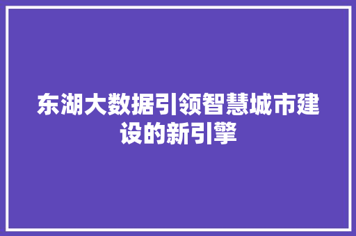 东湖大数据引领智慧城市建设的新引擎