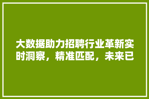 大数据助力招聘行业革新实时洞察，精准匹配，未来已来  第1张