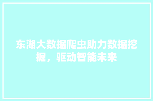 东湖大数据爬虫助力数据挖掘，驱动智能未来