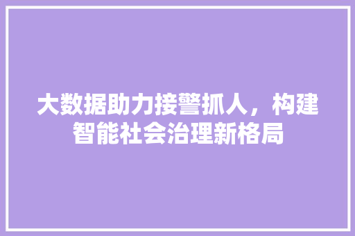 大数据助力接警抓人，构建智能社会治理新格局  第1张