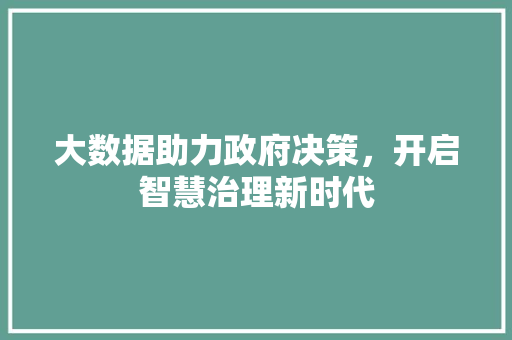 大数据助力政府决策，开启智慧治理新时代