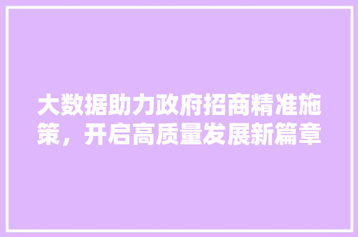大数据助力政府招商精准施策，开启高质量发展新篇章