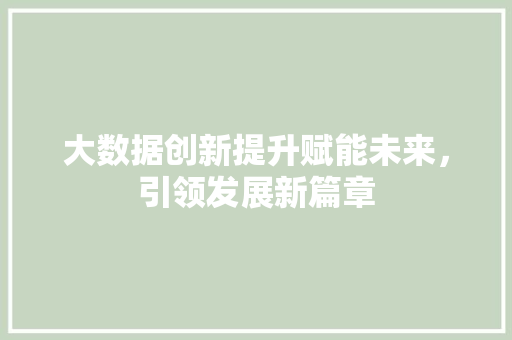 大数据创新提升赋能未来，引领发展新篇章