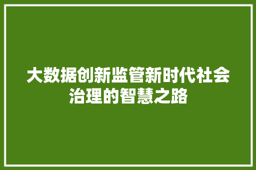 大数据创新监管新时代社会治理的智慧之路  第1张