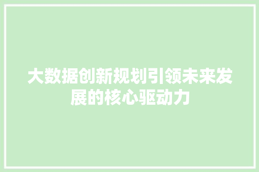 大数据创新规划引领未来发展的核心驱动力