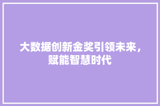 大数据创新金奖引领未来，赋能智慧时代