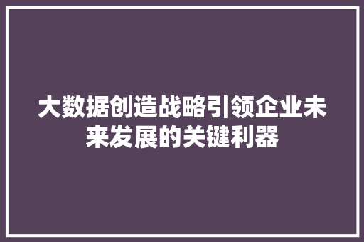 大数据创造战略引领企业未来发展的关键利器
