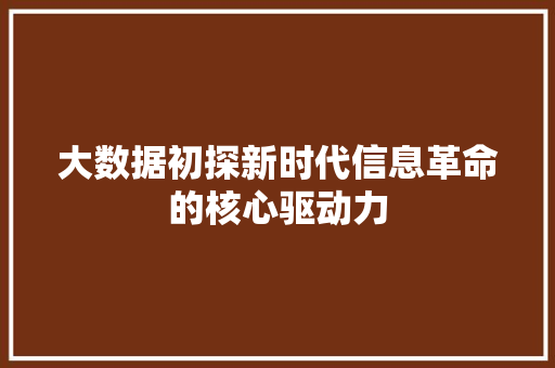 大数据初探新时代信息革命的核心驱动力