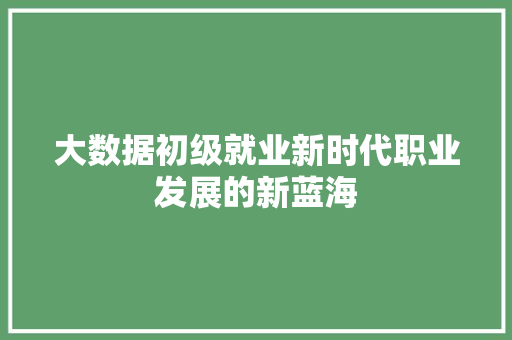 大数据初级就业新时代职业发展的新蓝海