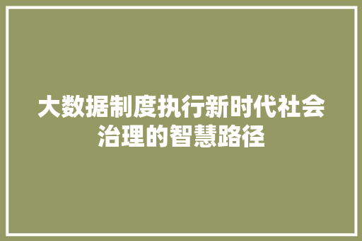 大数据制度执行新时代社会治理的智慧路径