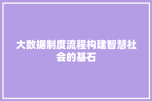 大数据制度流程构建智慧社会的基石