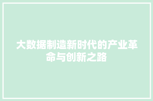 大数据制造新时代的产业革命与创新之路