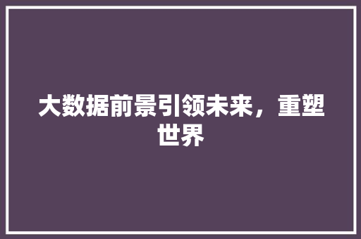 大数据前景引领未来，重塑世界