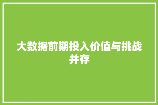 大数据前期投入价值与挑战并存
