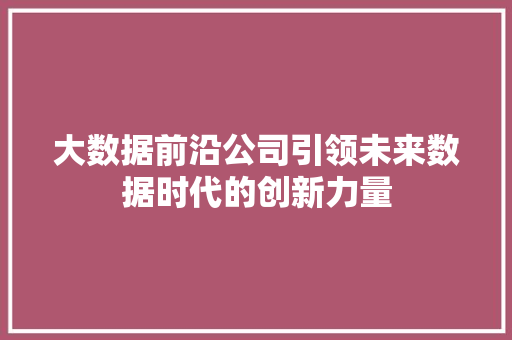 大数据前沿公司引领未来数据时代的创新力量