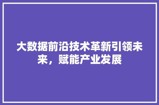 大数据前沿技术革新引领未来，赋能产业发展