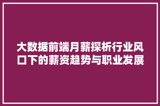 大数据前端月薪探析行业风口下的薪资趋势与职业发展  第1张