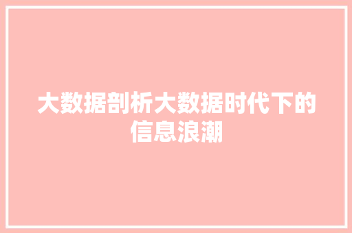 大数据剖析大数据时代下的信息浪潮