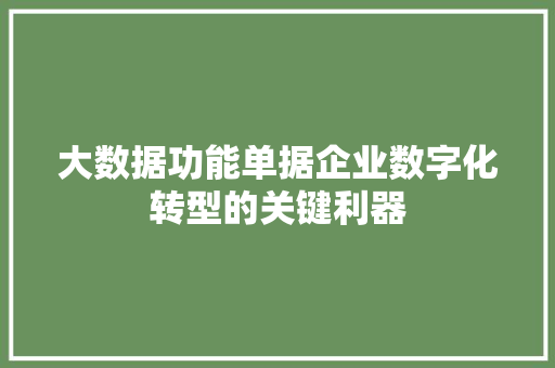 大数据功能单据企业数字化转型的关键利器