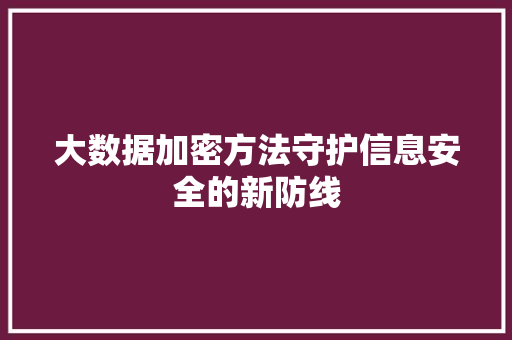 大数据加密方法守护信息安全的新防线