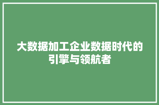 大数据加工企业数据时代的引擎与领航者
