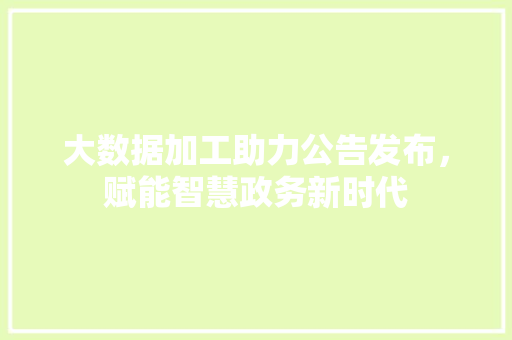 大数据加工助力公告发布，赋能智慧政务新时代  第1张